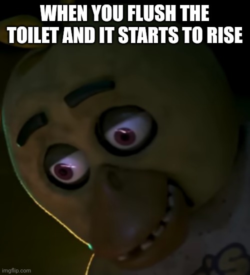 chica oops face | WHEN YOU FLUSH THE TOILET AND IT STARTS TO RISE | image tagged in chica oops face | made w/ Imgflip meme maker