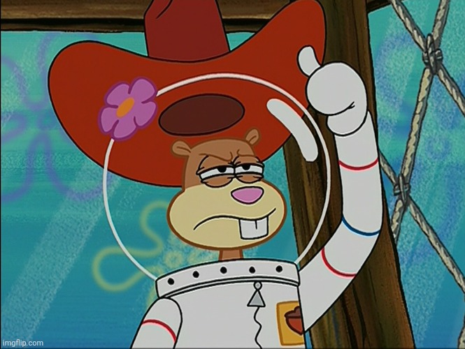 Sandy Cheeks | image tagged in sandy cheeks | made w/ Imgflip meme maker