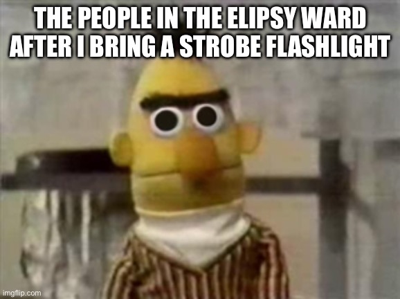 bert muppet what did i just see | THE PEOPLE IN THE ELIPSY WARD AFTER I BRING A STROBE FLASHLIGHT | image tagged in bert muppet what did i just see | made w/ Imgflip meme maker