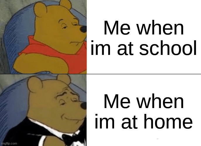 Tuxedo Winnie The Pooh Meme | Me when im at school; Me when im at home | image tagged in memes,tuxedo winnie the pooh | made w/ Imgflip meme maker