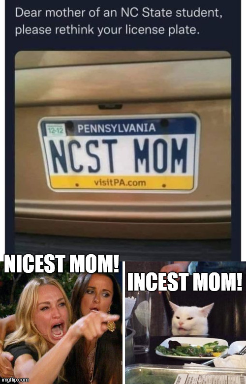 NCST Mom | NICEST MOM! INCEST MOM! | image tagged in smudge the cat | made w/ Imgflip meme maker