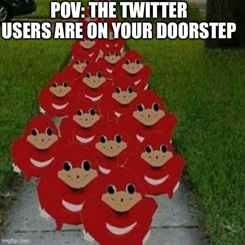 Ugandan knuckles army | POV: THE TWITTER USERS ARE ON YOUR DOORSTEP | image tagged in ugandan knuckles army | made w/ Imgflip meme maker