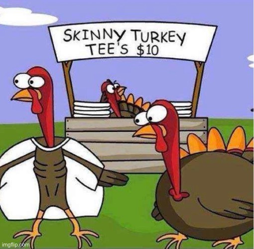 disclaimer: no guarantees | image tagged in funny,thanksgiving,turkey,skinny t shirt,meme | made w/ Imgflip meme maker