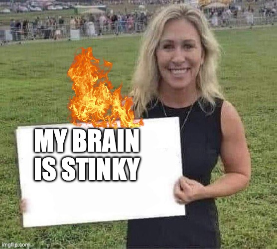 MAJUERE | MY BRAIN IS STINKY | image tagged in marjorie taylor greene,dumb | made w/ Imgflip meme maker