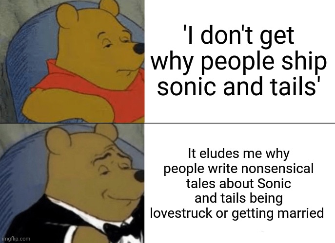 Tuxedo Winnie The Pooh Meme | 'I don't get why people ship sonic and tails' It eludes me why people write nonsensical tales about Sonic and tails being lovestruck or gett | image tagged in memes,tuxedo winnie the pooh | made w/ Imgflip meme maker