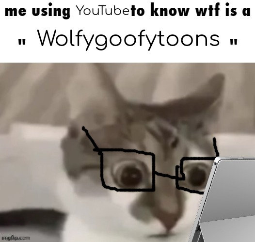 me using google to know wtf is a X | YouTube; Wolfygoofytoons | image tagged in me using google to know wtf is a x | made w/ Imgflip meme maker