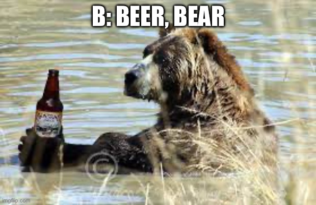 Bear with beer | B: BEER, BEAR | image tagged in beer,bear | made w/ Imgflip meme maker
