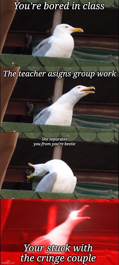 Inhaling Seagull | You're bored in class; The teacher asigns group work; She separates you from you're bestie; Your stuck with the cringe couple | image tagged in memes,inhaling seagull | made w/ Imgflip meme maker