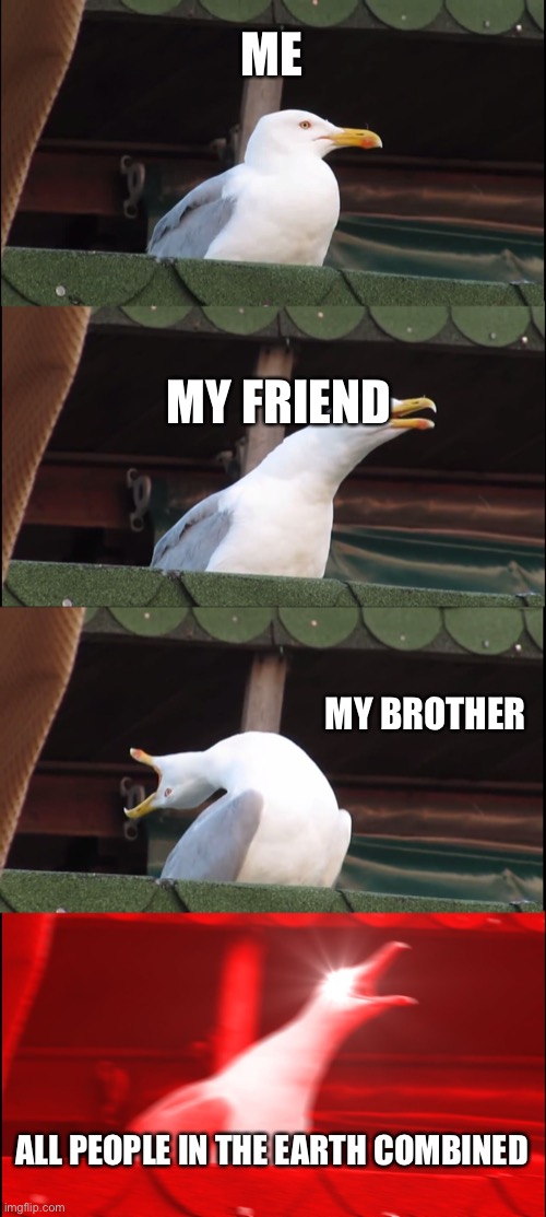 Inhaling Seagull | ME; MY FRIEND; MY BROTHER; ALL PEOPLE IN THE EARTH COMBINED | image tagged in memes,inhaling seagull | made w/ Imgflip meme maker