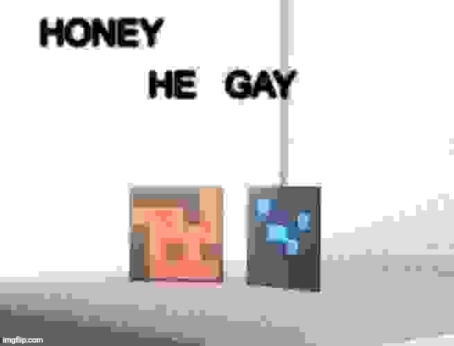 Honey he gay | image tagged in honey he gay | made w/ Imgflip meme maker