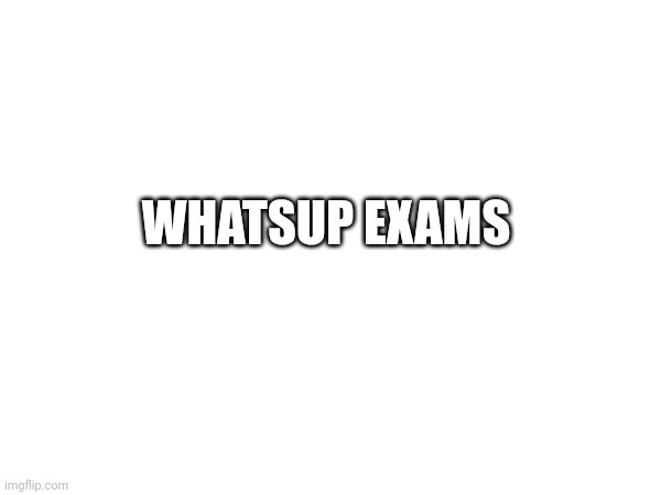 WHATSUP EXAMS | image tagged in exams,oh wow are you actually reading these tags,random,stop reading the tags,why are you reading the tags | made w/ Imgflip meme maker