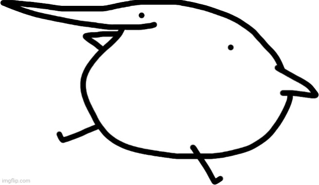 Berd | image tagged in berd | made w/ Imgflip meme maker