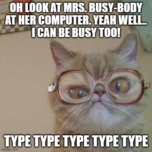 Funny Cat with Glasses | OH LOOK AT MRS. BUSY-BODY
AT HER COMPUTER. YEAH WELL..
I CAN BE BUSY TOO! TYPE TYPE TYPE TYPE TYPE | image tagged in funny cat with glasses | made w/ Imgflip meme maker