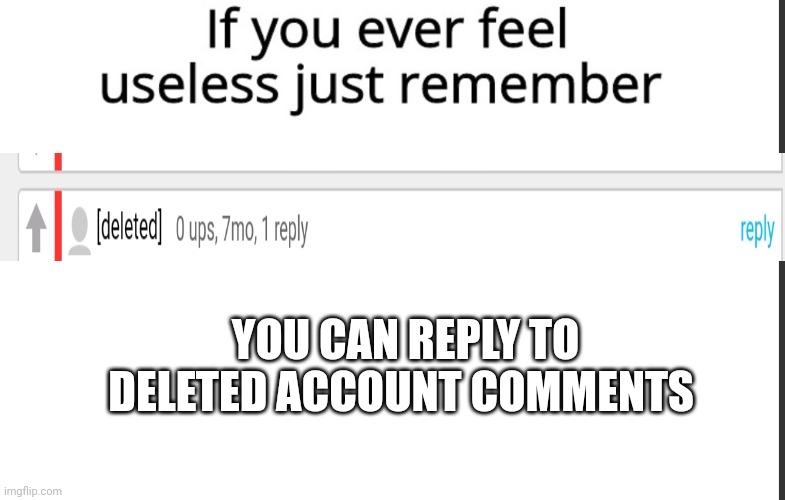 Useless imgflip features part 1 | YOU CAN REPLY TO DELETED ACCOUNT COMMENTS | image tagged in if you ever feel useless remember this,meanwhile on imgflip,imgflip,useless | made w/ Imgflip meme maker