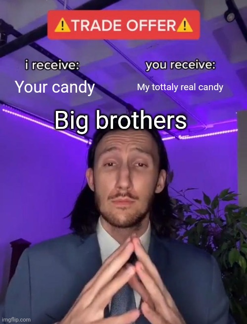 Trade Offer | Your candy; My tottaly real candy; Big brothers | image tagged in trade offer | made w/ Imgflip meme maker