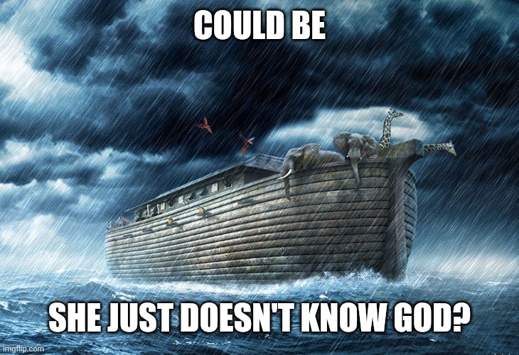 Noah's Ark | COULD BE SHE JUST DOESN'T KNOW GOD? | image tagged in noah's ark | made w/ Imgflip meme maker
