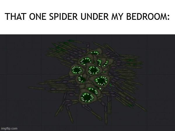 OH GOD KILL IT WITH FIRE- | THAT ONE SPIDER UNDER MY BEDROOM: | image tagged in kill it with fire | made w/ Imgflip meme maker