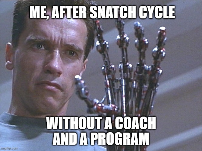kettlebell snatch gone wrong | ME, AFTER SNATCH CYCLE; WITHOUT A COACH
AND A PROGRAM | image tagged in terminator arm | made w/ Imgflip meme maker