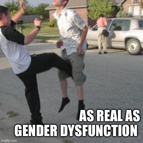 Kicked in the balls | AS REAL AS GENDER DYSFUNCTION | image tagged in kicked in the balls | made w/ Imgflip meme maker