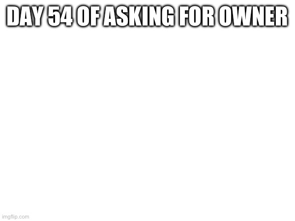 DAY 54 OF ASKING FOR OWNER | made w/ Imgflip meme maker