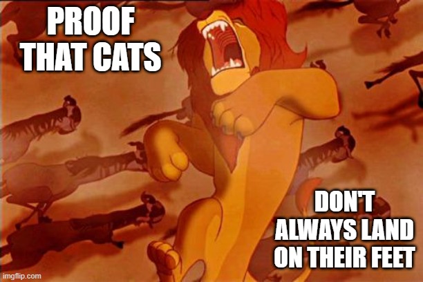 Right in the Childhood | PROOF THAT CATS; DON'T ALWAYS LAND ON THEIR FEET | image tagged in mufasa falling | made w/ Imgflip meme maker