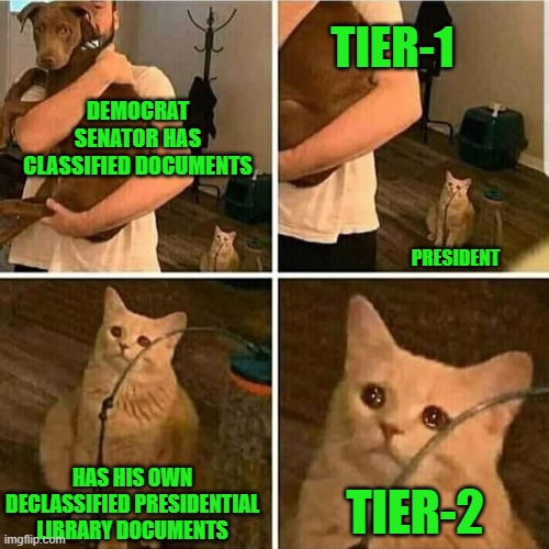 The 2-Tier Justice System, See it Yet? | TIER-1; DEMOCRAT SENATOR HAS CLASSIFIED DOCUMENTS; PRESIDENT; HAS HIS OWN DECLASSIFIED PRESIDENTIAL LIBRARY DOCUMENTS; TIER-2 | image tagged in sad cat holding dog | made w/ Imgflip meme maker