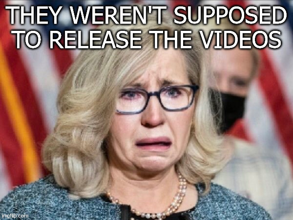 Liz Cheney | THEY WEREN'T SUPPOSED TO RELEASE THE VIDEOS | image tagged in video release,liz cheney | made w/ Imgflip meme maker