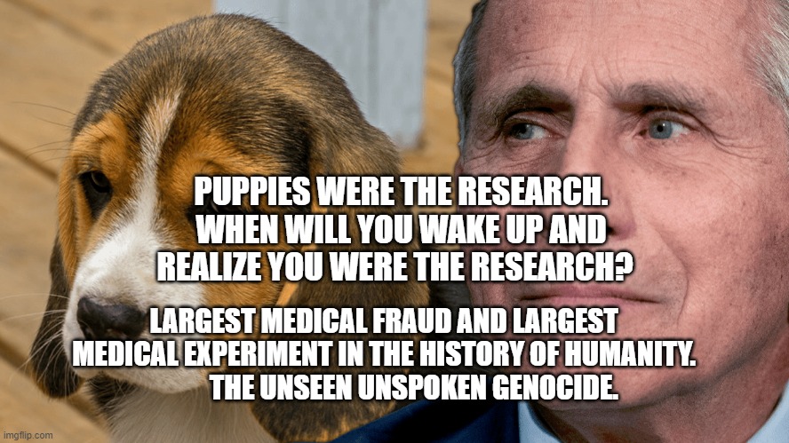 Fauci's Ouchie | PUPPIES WERE THE RESEARCH. WHEN WILL YOU WAKE UP AND REALIZE YOU WERE THE RESEARCH? LARGEST MEDICAL FRAUD AND LARGEST MEDICAL EXPERIMENT IN THE HISTORY OF HUMANITY.              THE UNSEEN UNSPOKEN GENOCIDE. | image tagged in fauci's ouchie | made w/ Imgflip meme maker