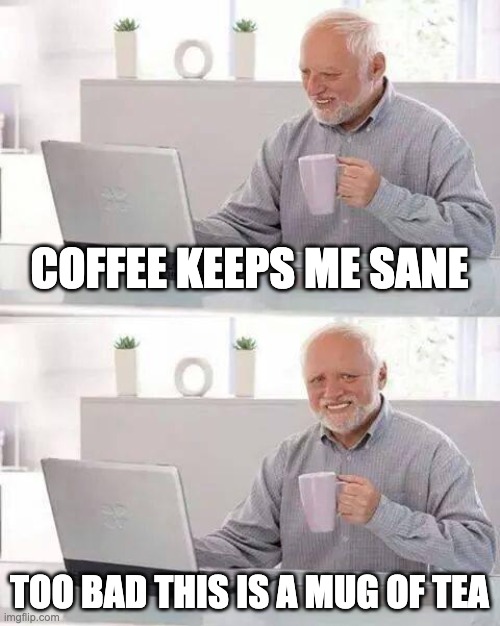 coffee keeps me sane | COFFEE KEEPS ME SANE; TOO BAD THIS IS A MUG OF TEA | image tagged in memes,hide the pain harold | made w/ Imgflip meme maker