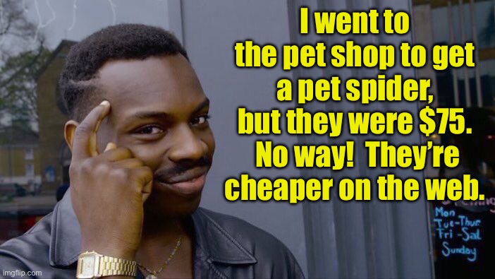 Smart | I went to the pet shop to get a pet spider, but they were $75.  No way!  They’re cheaper on the web. | image tagged in memes,roll safe think about it | made w/ Imgflip meme maker