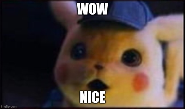 surprised pikachu irl | WOW NICE | image tagged in surprised pikachu irl | made w/ Imgflip meme maker
