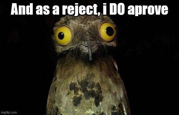 Weird Stuff I Do Potoo Meme | And as a reject, i DO aprove | image tagged in memes,weird stuff i do potoo | made w/ Imgflip meme maker