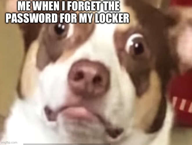 Happens all the time | ME WHEN I FORGET THE PASSWORD FOR MY LOCKER | image tagged in locker,dog,forgot | made w/ Imgflip meme maker