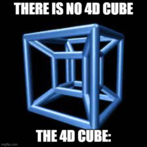 4D Cubes... | THERE IS NO 4D CUBE; THE 4D CUBE: | image tagged in terrasact | made w/ Imgflip meme maker