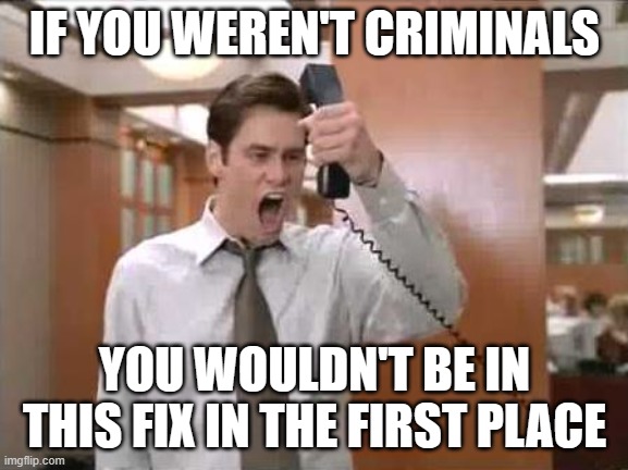 Liar Liar Stop Breaking The Law | IF YOU WEREN'T CRIMINALS YOU WOULDN'T BE IN THIS FIX IN THE FIRST PLACE | image tagged in liar liar stop breaking the law | made w/ Imgflip meme maker
