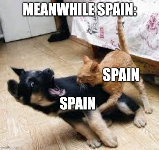 Cat Dog Fight | MEANWHILE SPAIN: SPAIN SPAIN | image tagged in cat dog fight | made w/ Imgflip meme maker