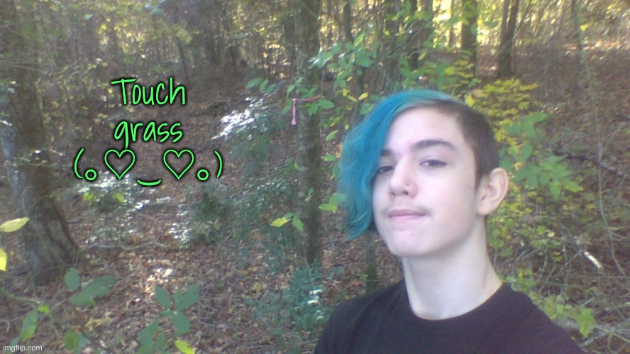 Touch grass (｡♡‿♡｡) | made w/ Imgflip meme maker