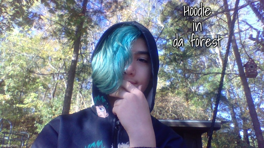 Hoodie in da forest | made w/ Imgflip meme maker