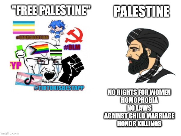 They probably like the child marriage one | "FREE PALESTINE"; PALESTINE; NO RIGHTS FOR WOMEN
HOMOPHOBIA
NO LAWS AGAINST CHILD MARRIAGE
 HONOR KILLINGS | image tagged in liberal hypocrisy | made w/ Imgflip meme maker