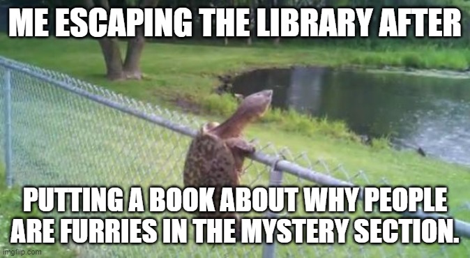 Oops. | ME ESCAPING THE LIBRARY AFTER; PUTTING A BOOK ABOUT WHY PEOPLE ARE FURRIES IN THE MYSTERY SECTION. | image tagged in turtle fence escape | made w/ Imgflip meme maker