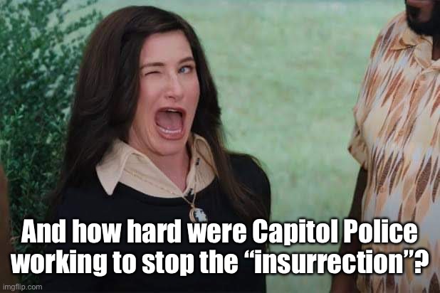 WandaVision Agnes wink | And how hard were Capitol Police working to stop the “insurrection”? | image tagged in wandavision agnes wink | made w/ Imgflip meme maker