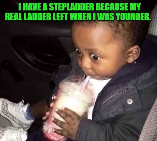 I HAVE A STEPLADDER BECAUSE MY REAL LADDER LEFT WHEN I WAS YOUNGER. | image tagged in oh oh | made w/ Imgflip meme maker