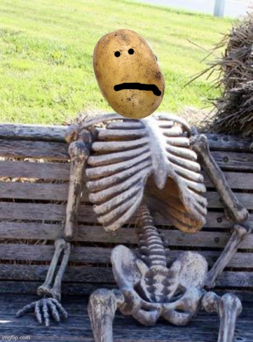 Potato and The Inkperials Chapter Three: Potato Waited | image tagged in memes,waiting skeleton | made w/ Imgflip meme maker