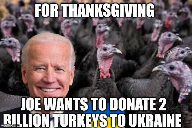 Thanksgiving | FOR THANKSGIVING; JOE WANTS TO DONATE 2 BILLION TURKEYS TO UKRAINE | image tagged in joe biden | made w/ Imgflip meme maker