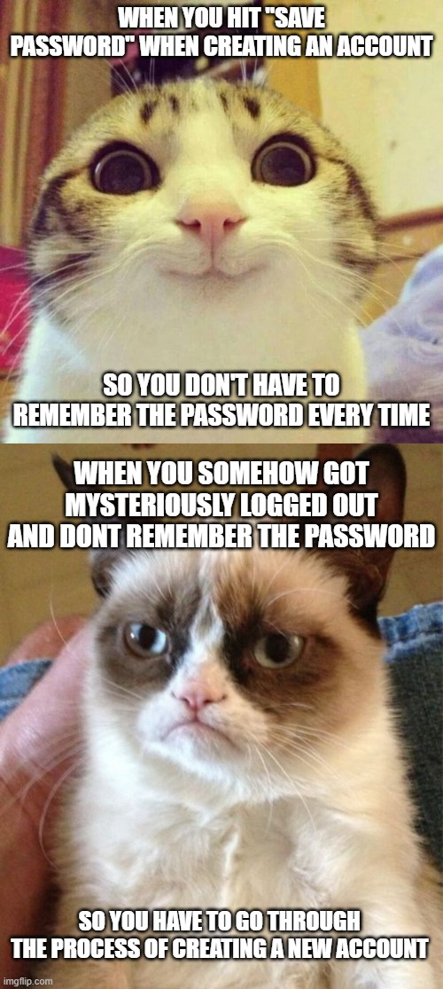 (I used to be CuteCatWasTaken and then I somehow got logged out today) | WHEN YOU HIT "SAVE PASSWORD" WHEN CREATING AN ACCOUNT; SO YOU DON'T HAVE TO REMEMBER THE PASSWORD EVERY TIME; WHEN YOU SOMEHOW GOT MYSTERIOUSLY LOGGED OUT AND DONT REMEMBER THE PASSWORD; SO YOU HAVE TO GO THROUGH THE PROCESS OF CREATING A NEW ACCOUNT | image tagged in memes,smiling cat,grumpy cat | made w/ Imgflip meme maker