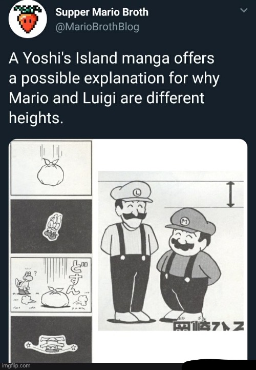 Yoshi manga | image tagged in yoshi manga | made w/ Imgflip meme maker