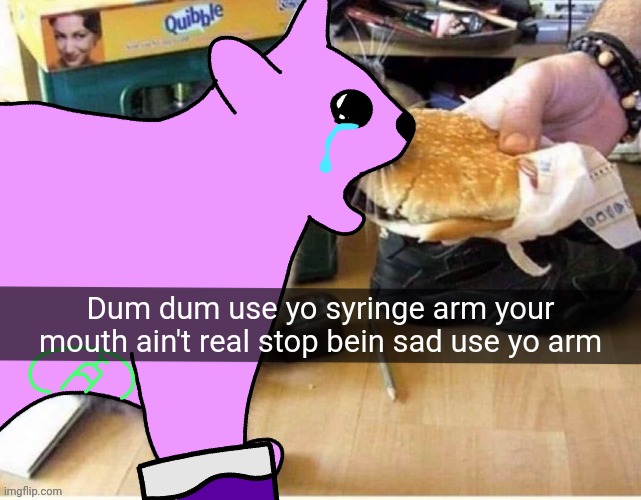 Dum dum use yo syringe arm your mouth ain't real stop bein sad use yo arm | made w/ Imgflip meme maker