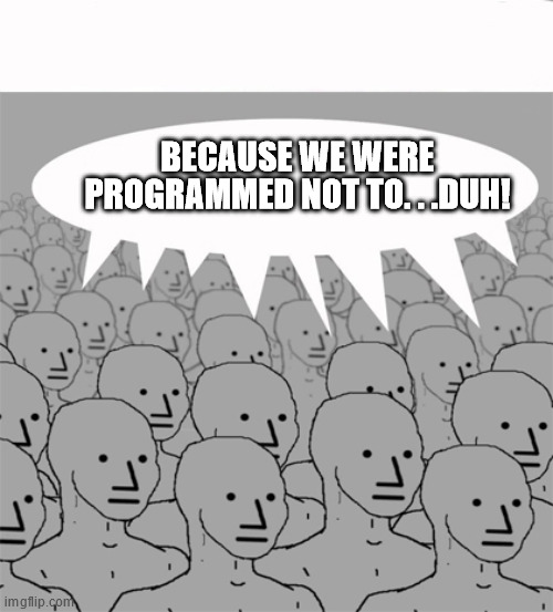 NPCProgramScreed | BECAUSE WE WERE PROGRAMMED NOT TO. . .DUH! | image tagged in npcprogramscreed | made w/ Imgflip meme maker