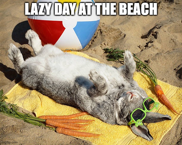 Beach Bunny | LAZY DAY AT THE BEACH | image tagged in bunnies | made w/ Imgflip meme maker
