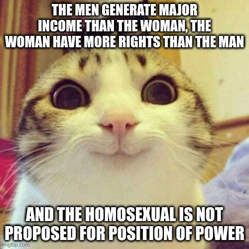 position of power | THE MEN GENERATE MAJOR INCOME THAN THE WOMAN, THE WOMAN HAVE MORE RIGHTS THAN THE MAN; AND THE HOMOSEXUAL IS NOT PROPOSED FOR POSITION OF POWER | image tagged in memes,smiling cat | made w/ Imgflip meme maker